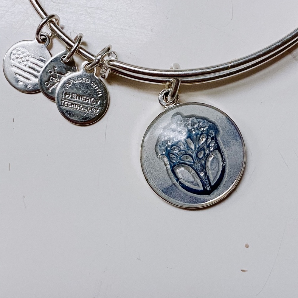 Alex and Ani Unexpected Miracles Watercolor Bangle
